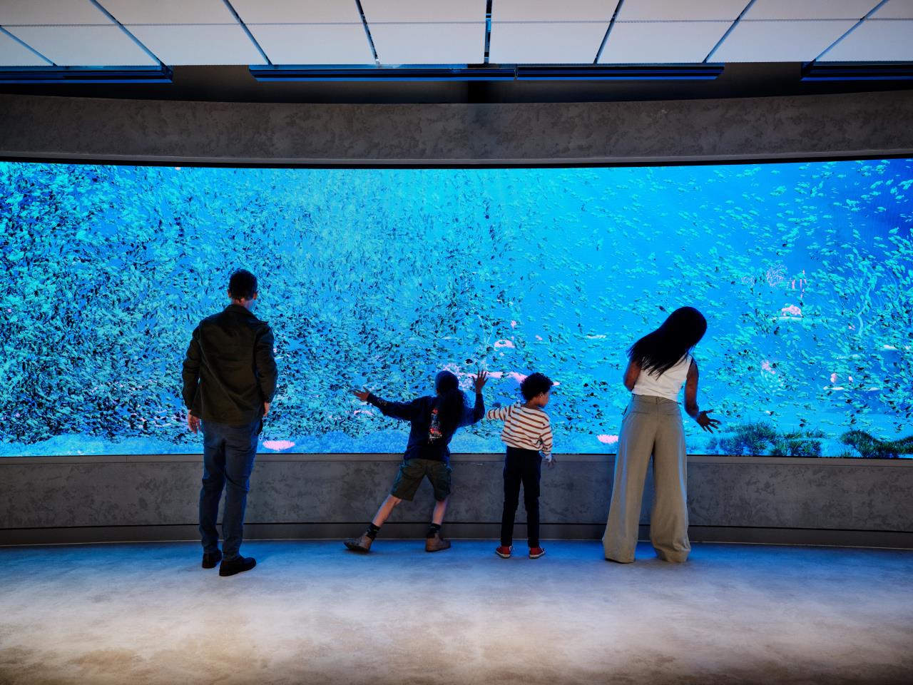 Event media for Opening Celebration - Sunday