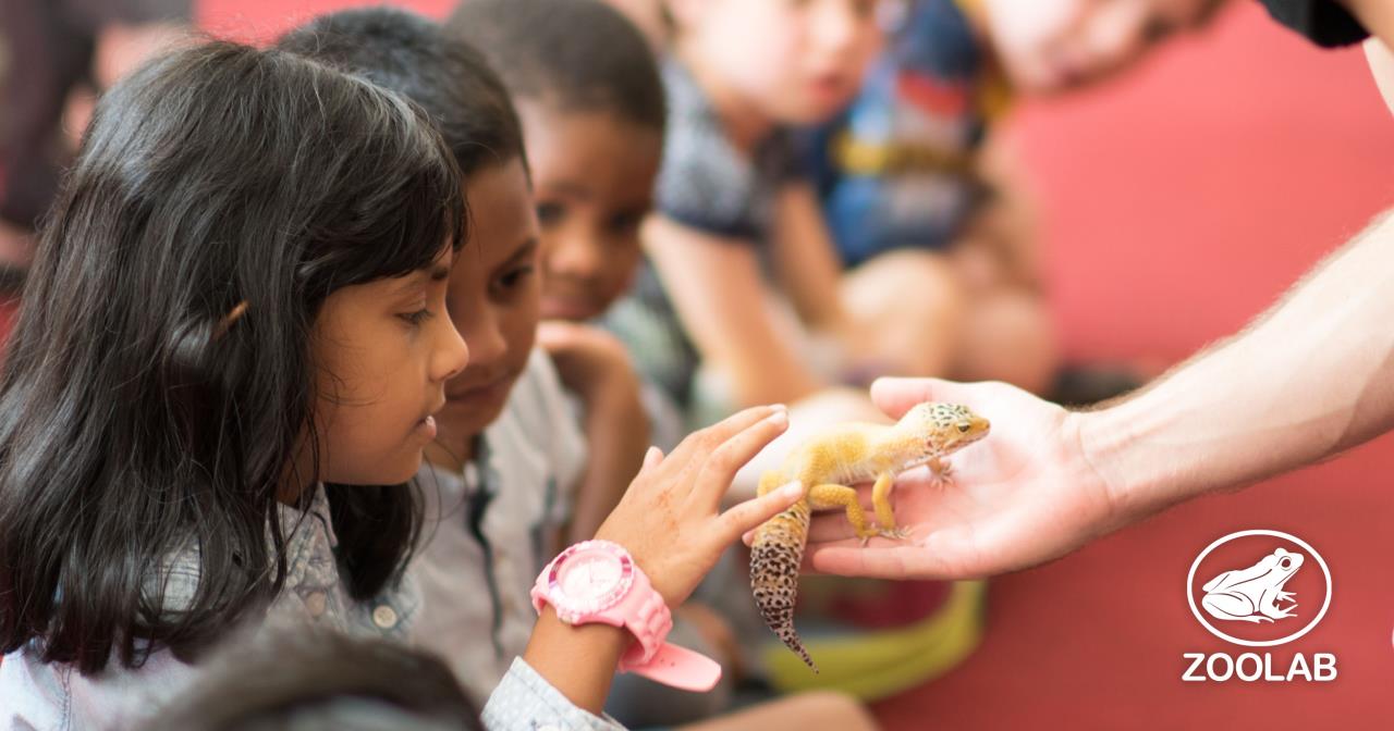 Event media for Creepy Crawly Encounters