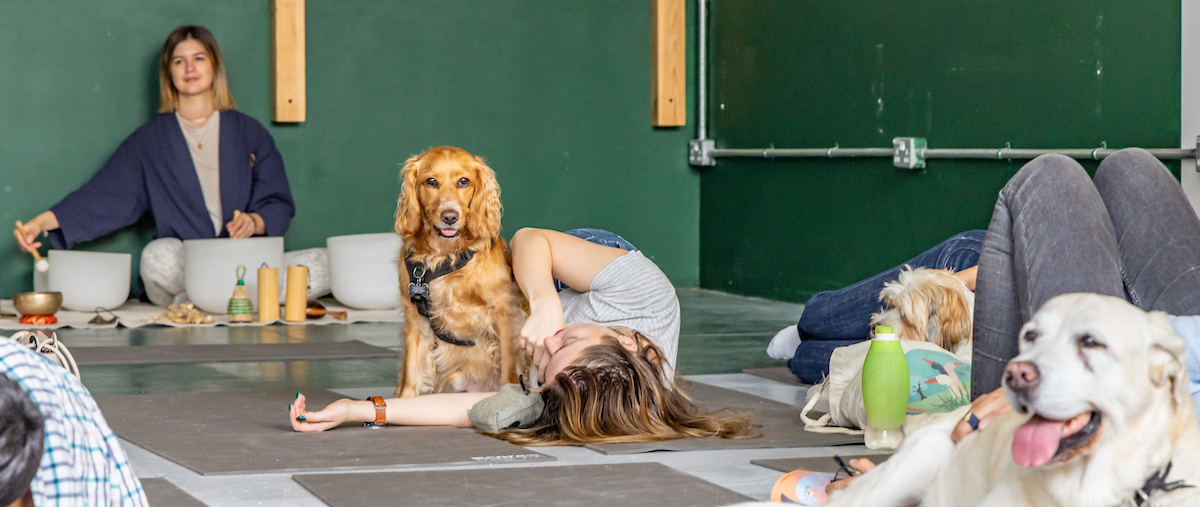 Event media for Pier Pups Wellness Day - SOLD OUT