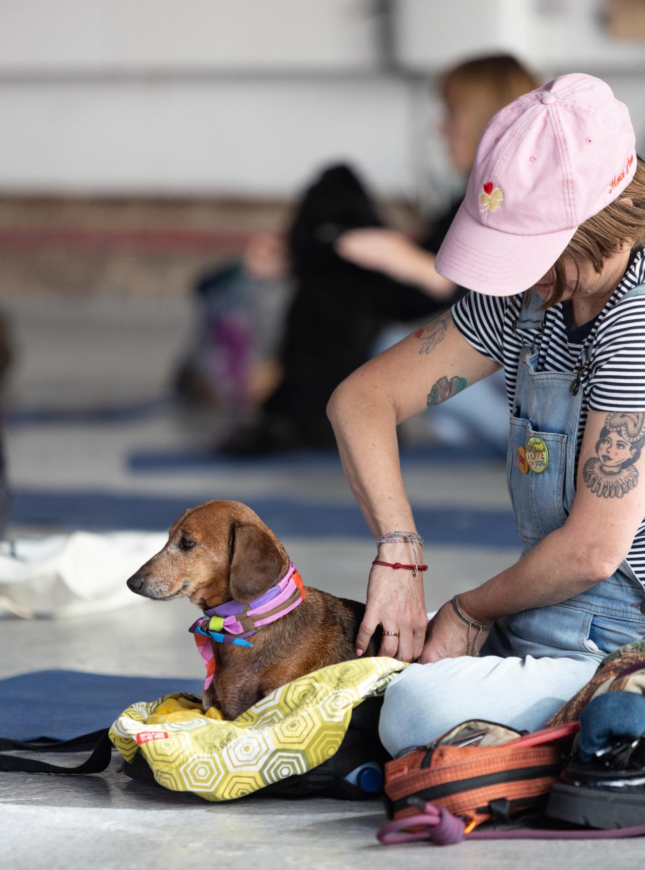 Event media for Pier Pups Day 