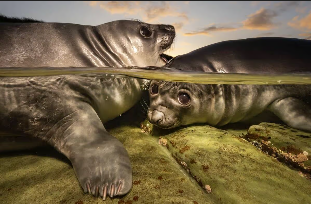 Event media for UPY Photography Exhibition: Seaside Explorers 